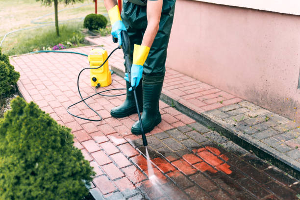 Animal Enclosure Cleaning in San Francisco, CA
